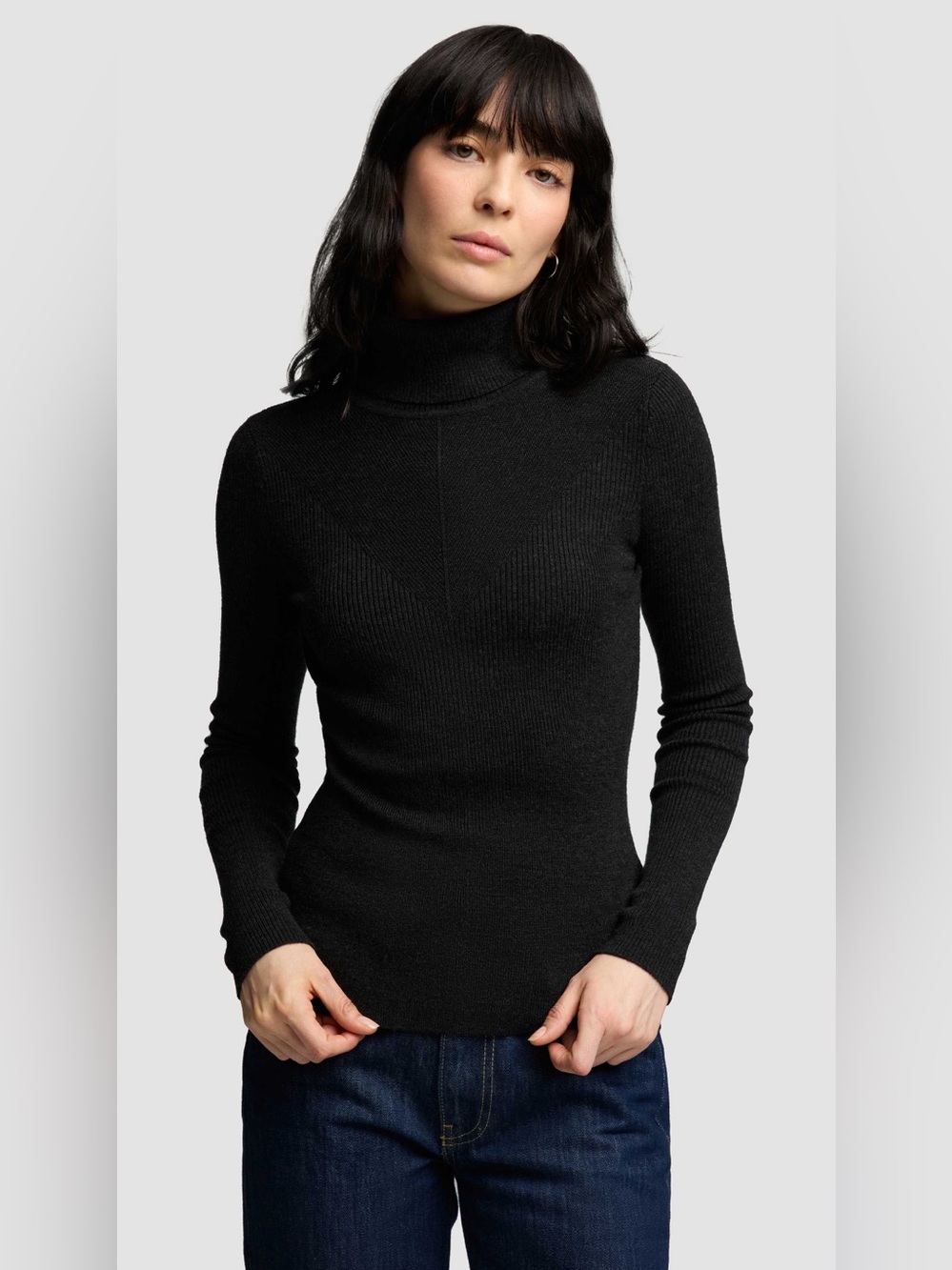 Argent Knit Longsleeve Turtleneck in black